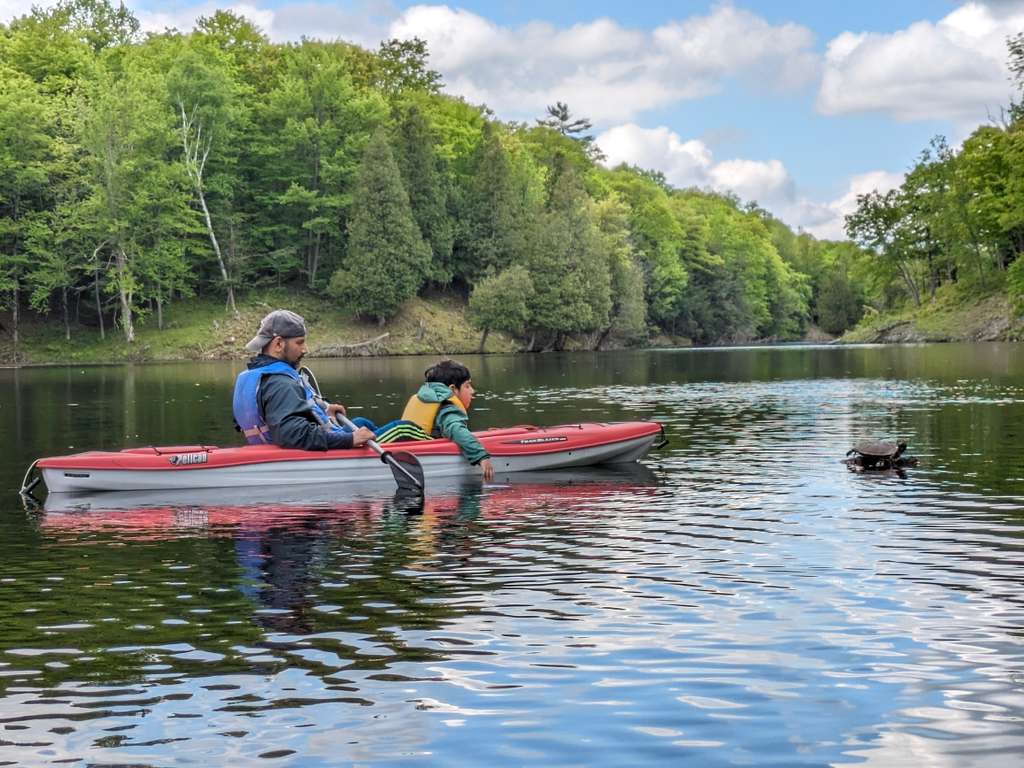 Kayaking in the Finger Lakes